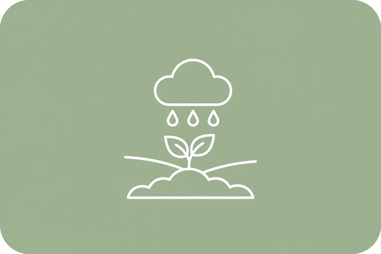 What is regenerative design?