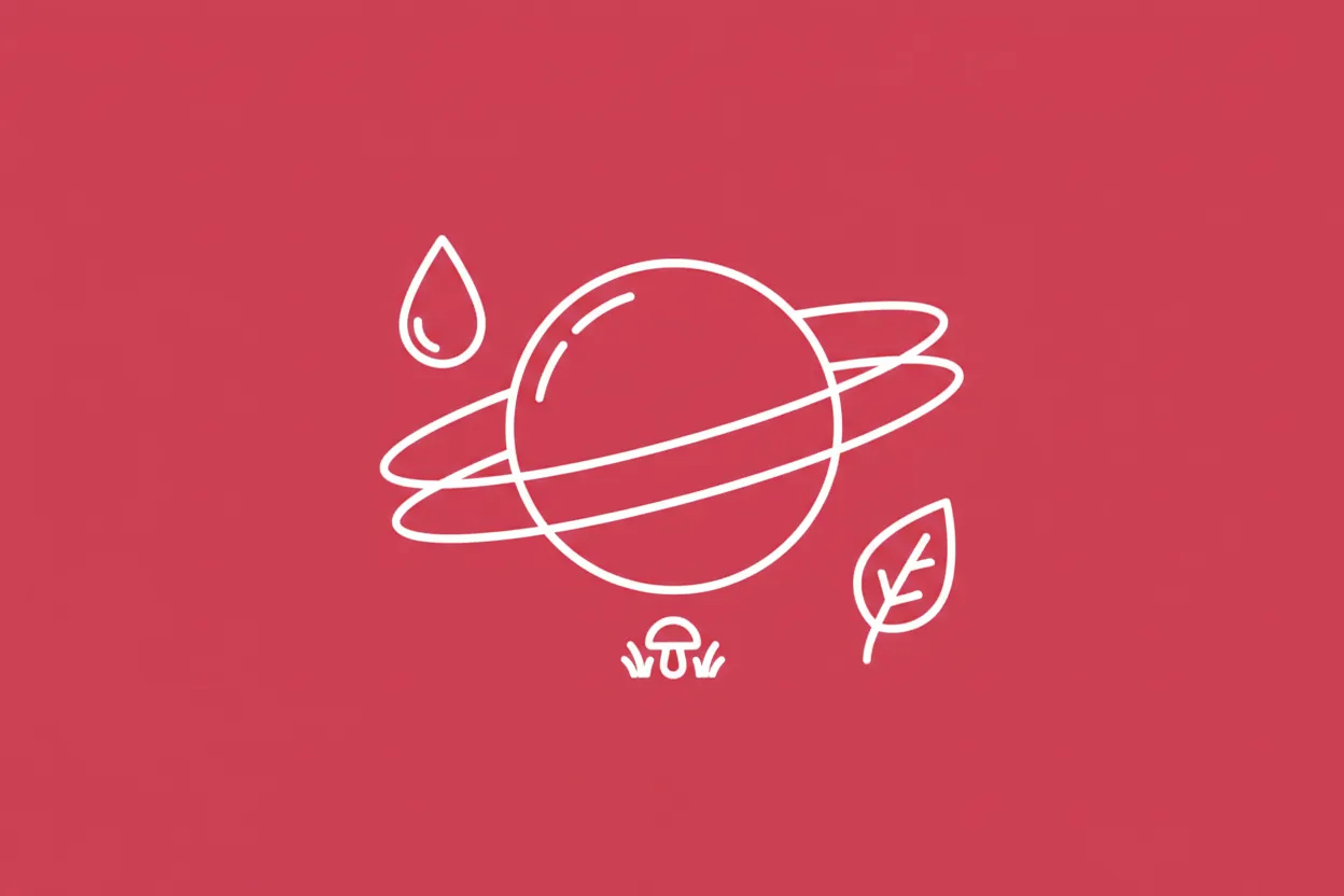 What are planetary boundaries?