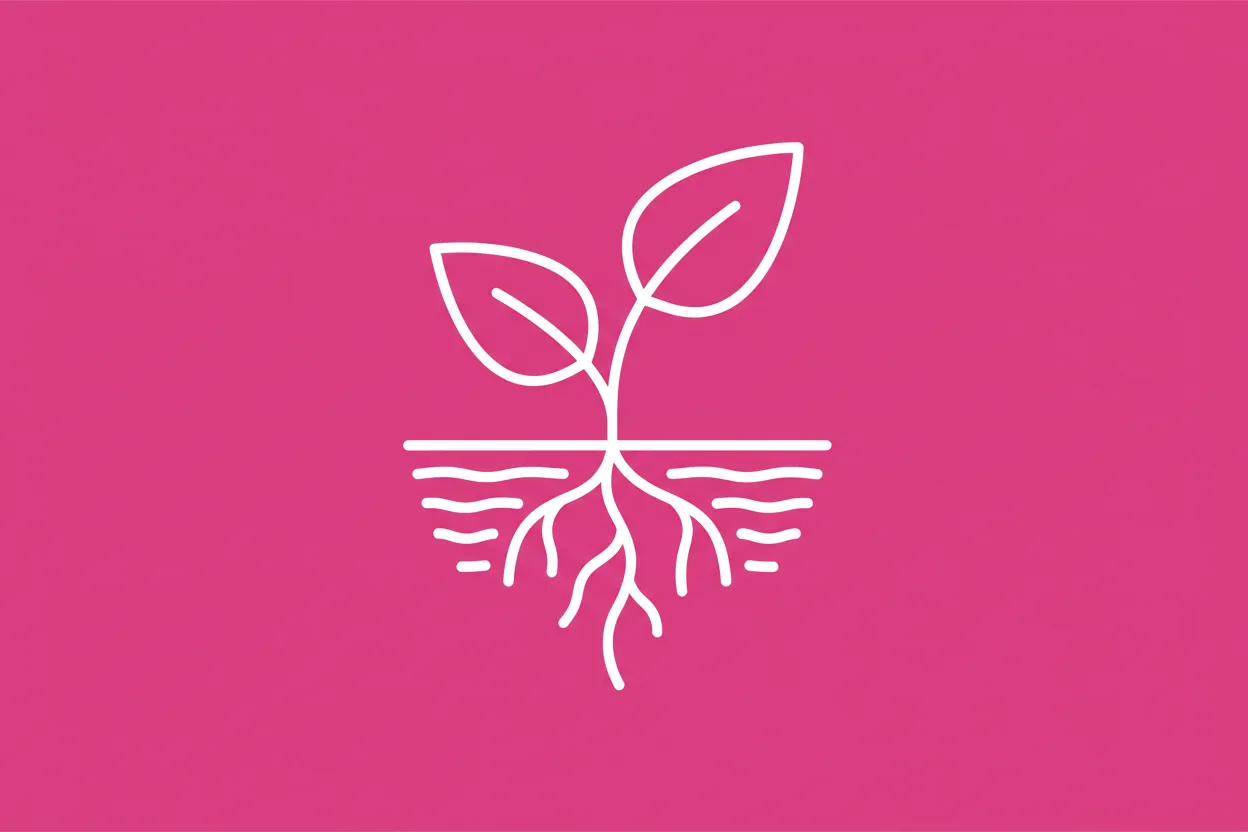 What is a biological cycle?