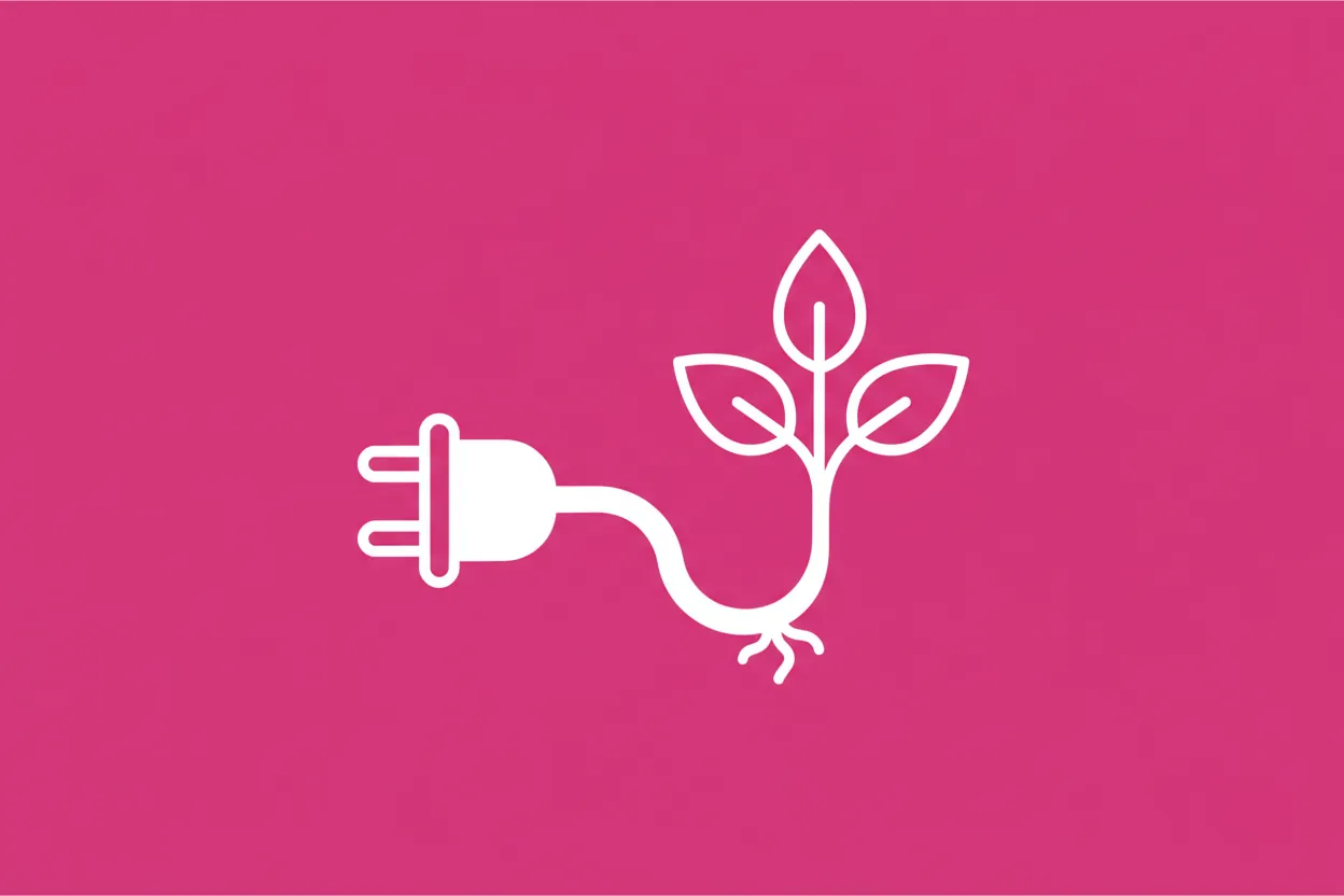 What is the EAR register (Germany – WEEE)?