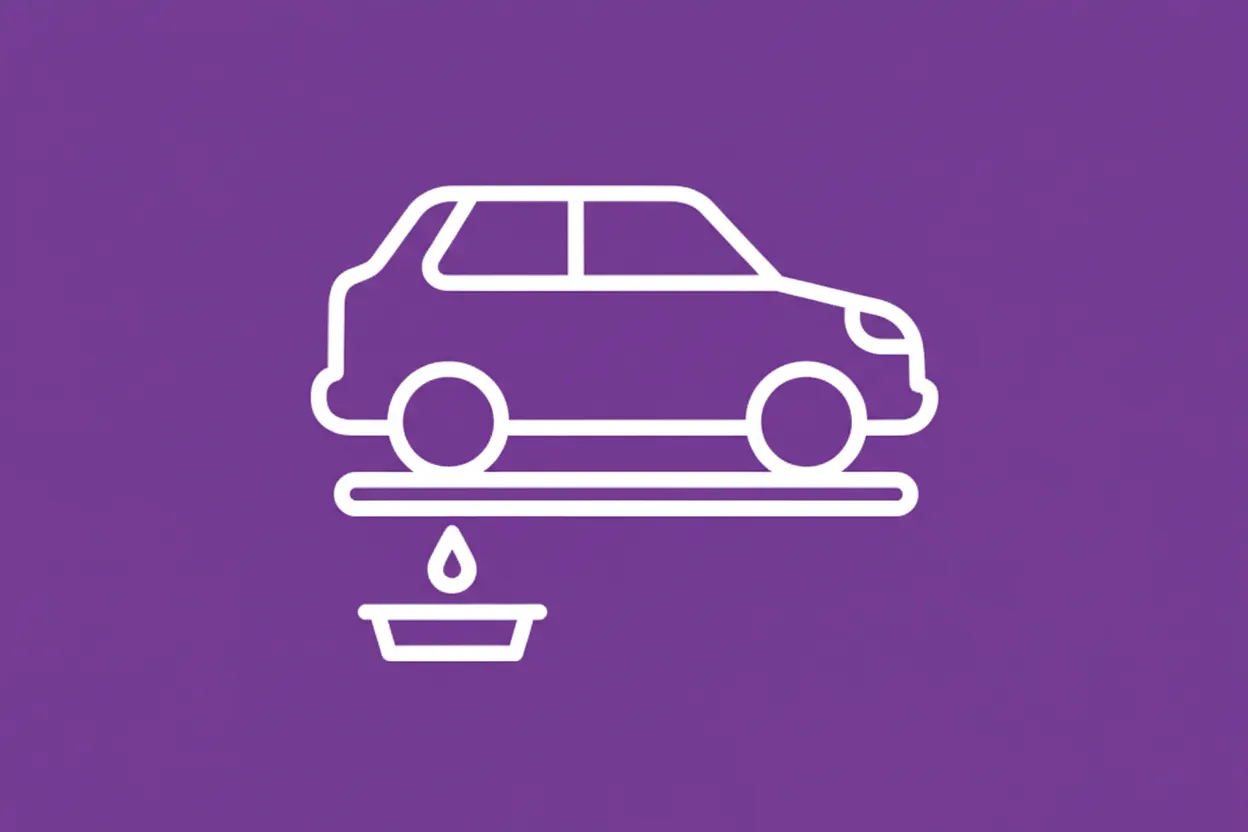 What is depollution (ELV)?