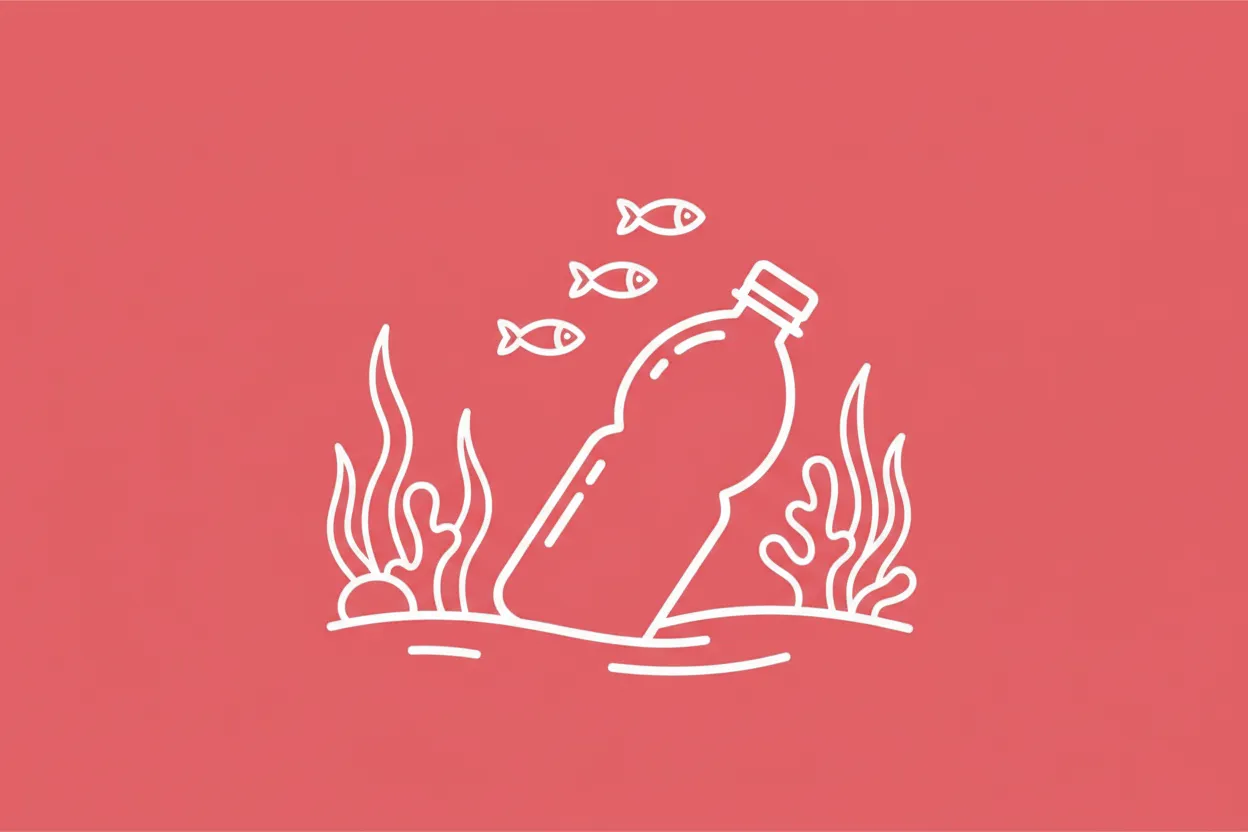 What is seabed litter?