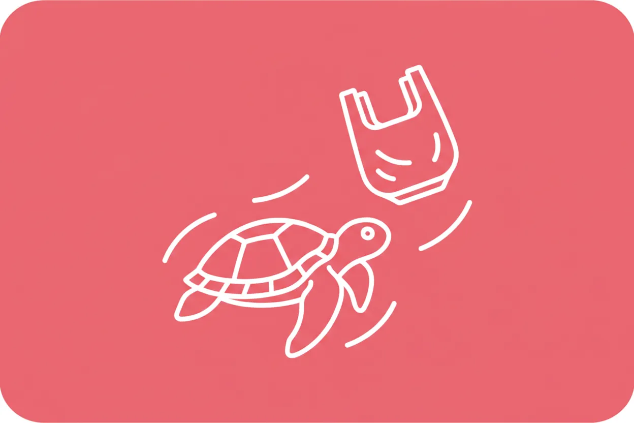 What is marine litter?