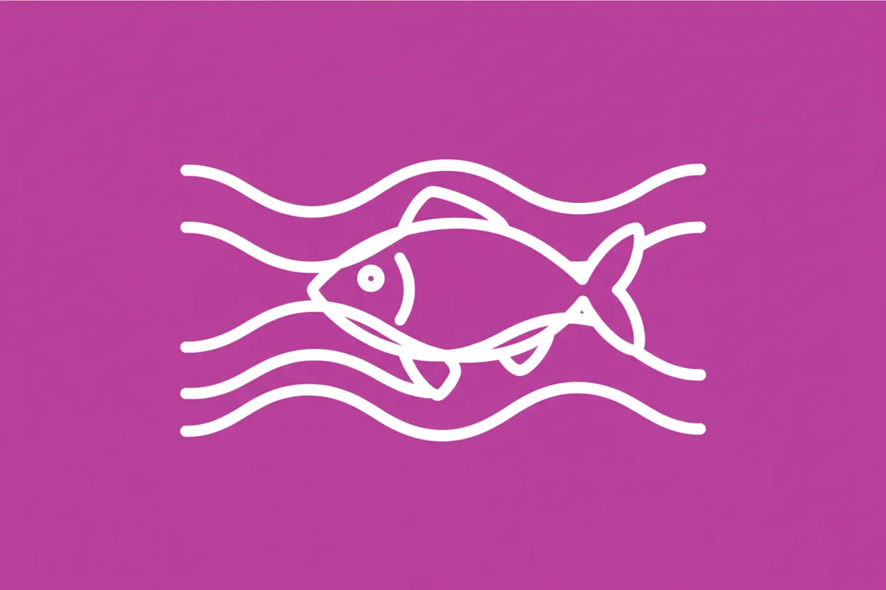 What is a trammel net?