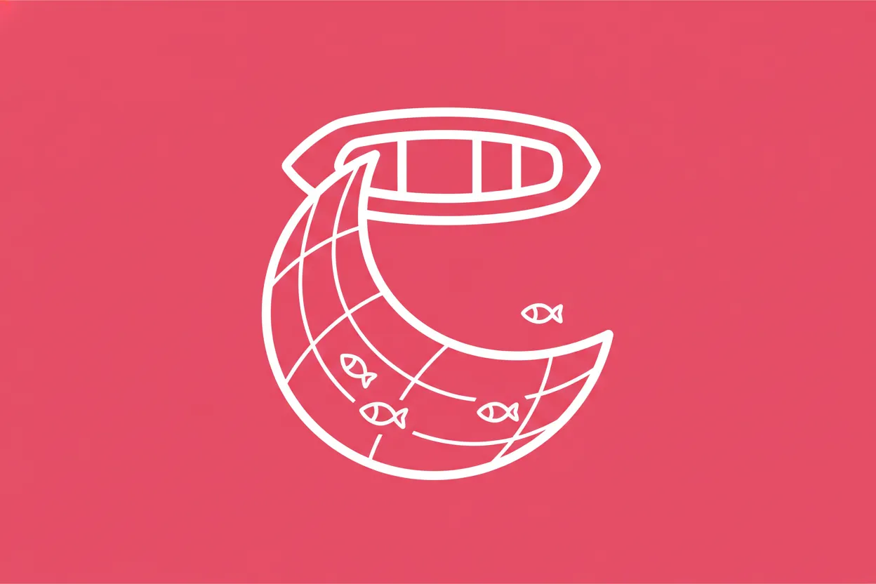 What is a purse seine net?