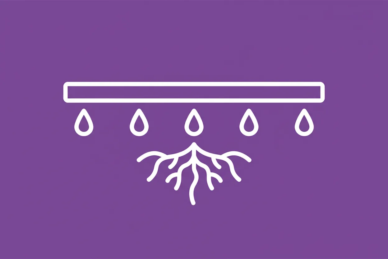 What is drip tape irrigation?