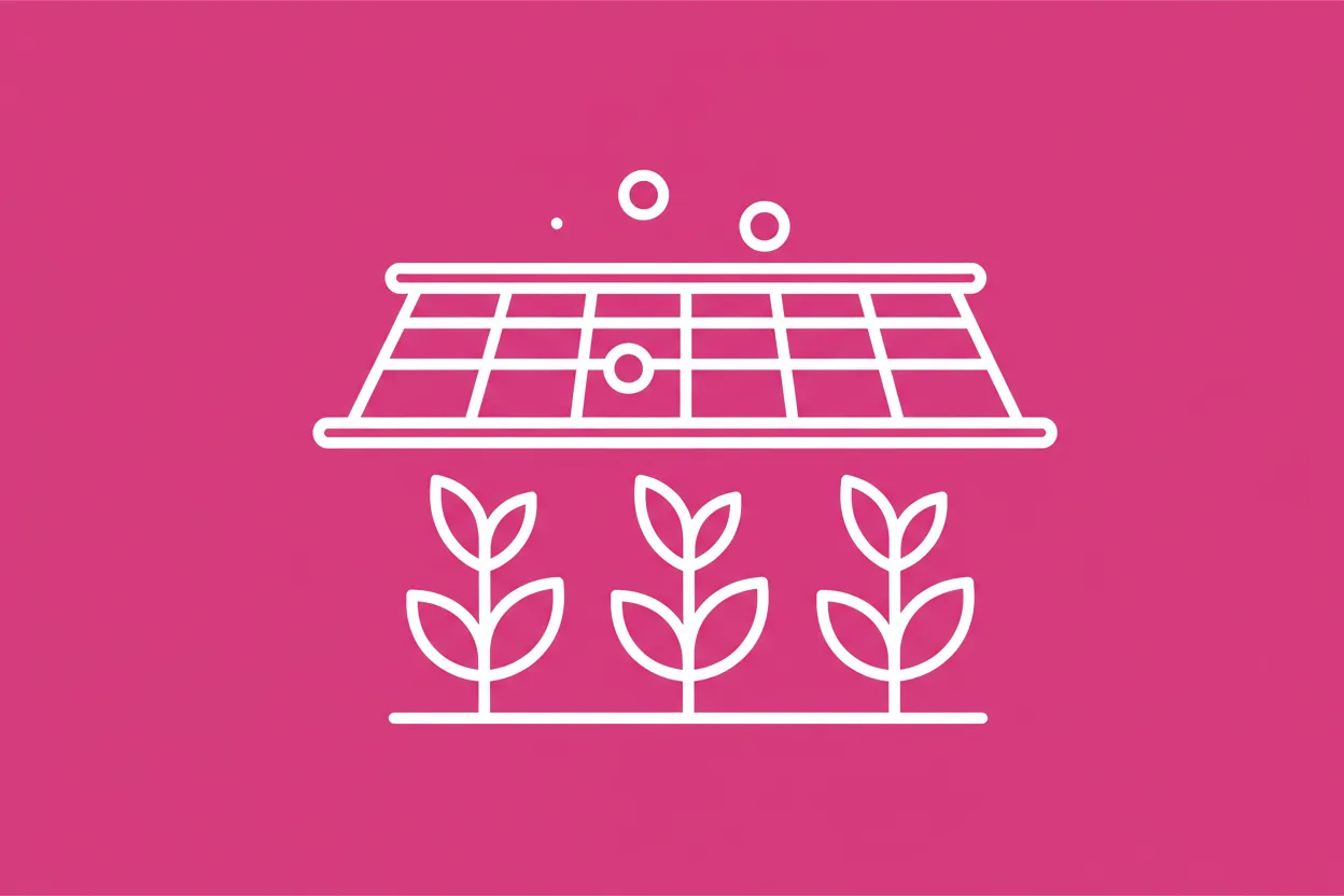 What is anti-hail netting?