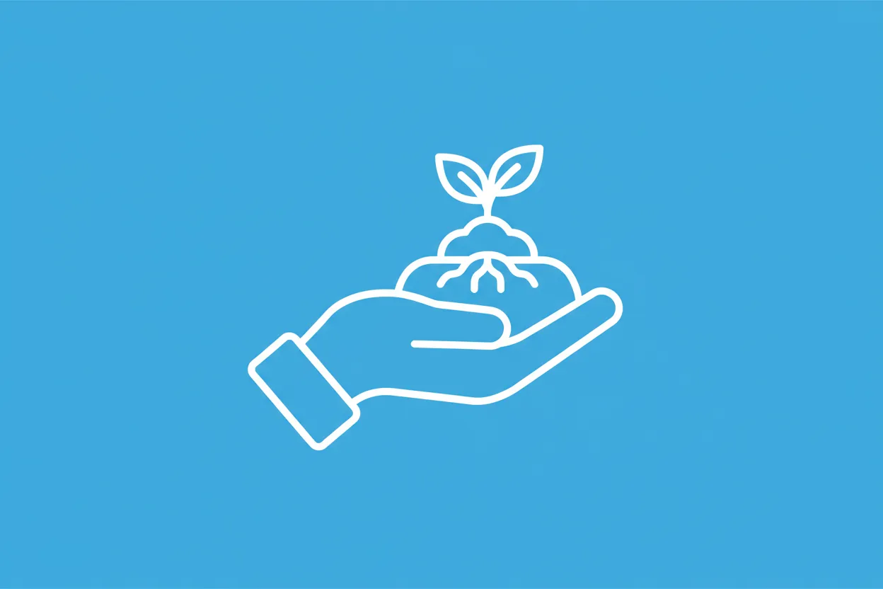 What are natural resources?