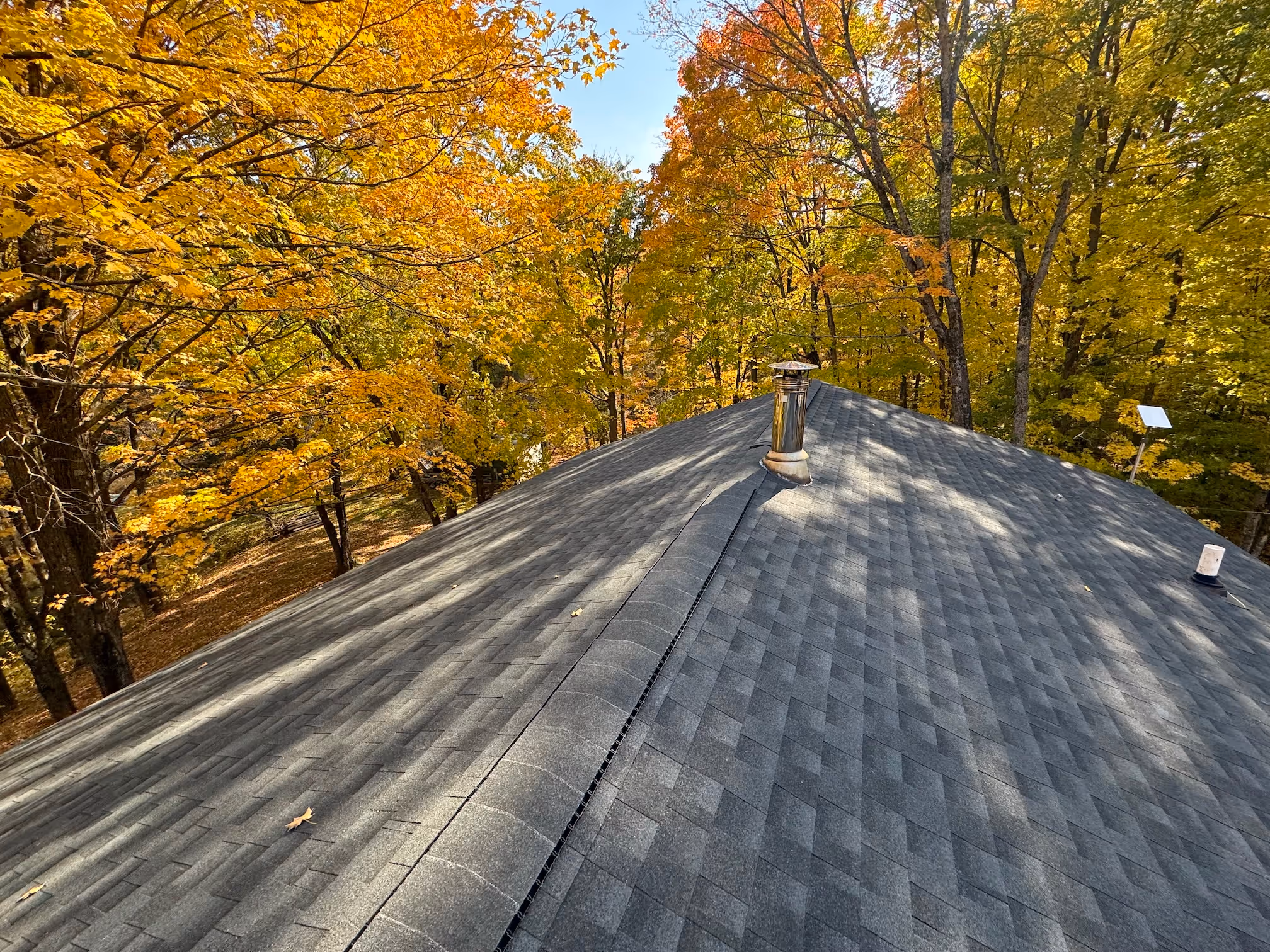 Shingle roof detail for repair