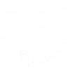 Step Icon