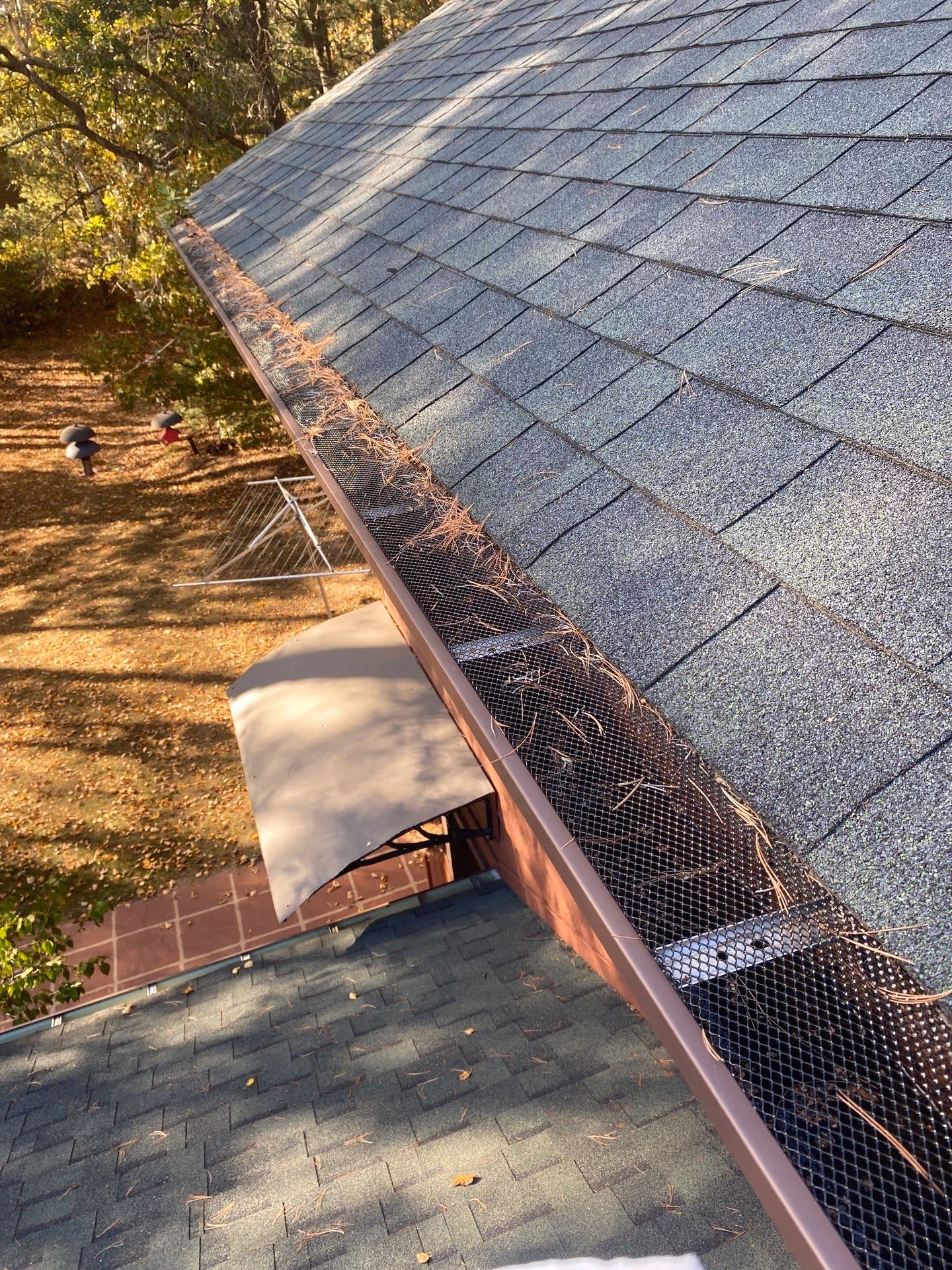 House roof with asphalt shingles and a gutter guard partially covered with pine needles, surrounded by trees with autumn leaves.