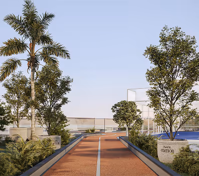 walking track