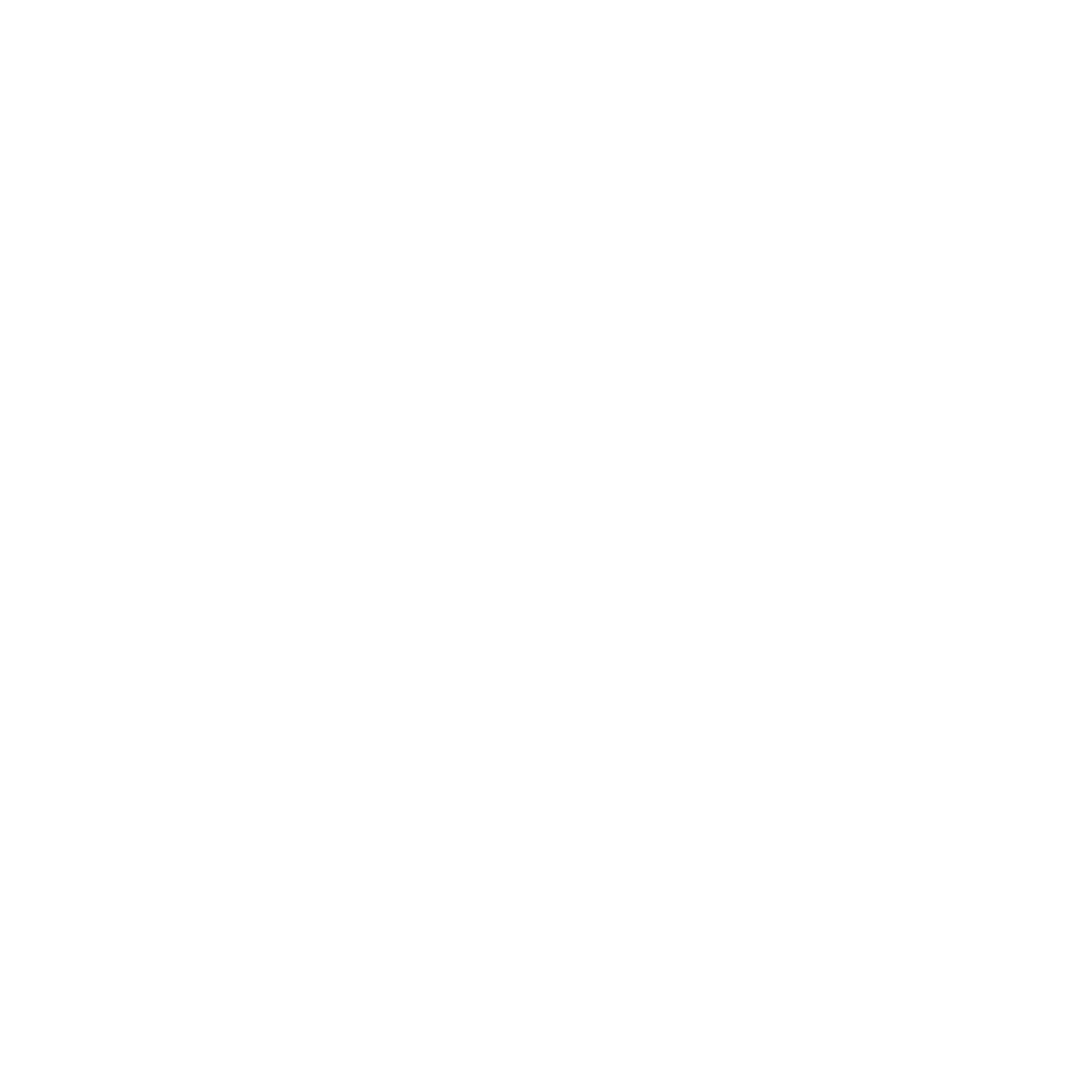 Boton instagram