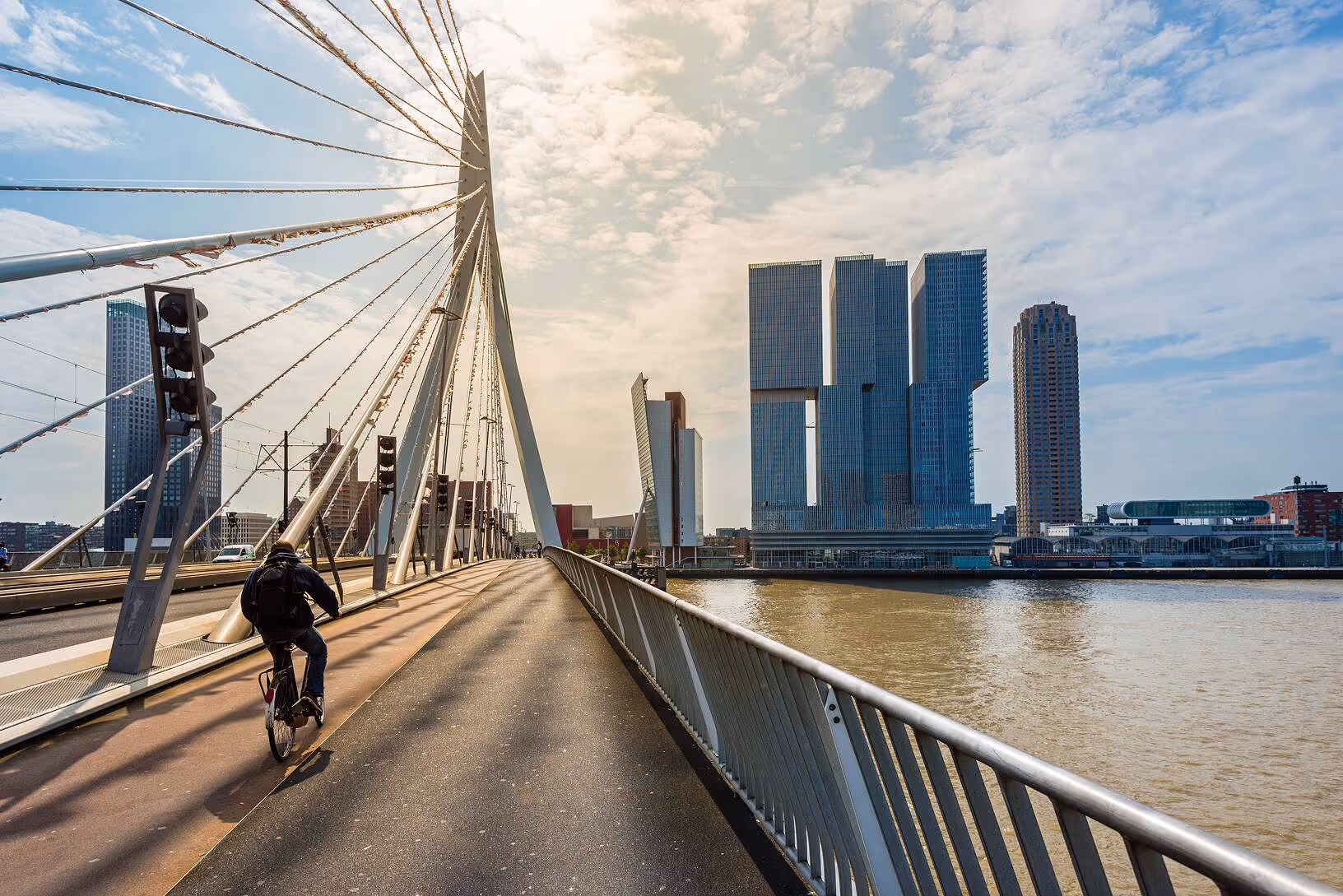 Een fietser op de Erasmus brug in Rotterdam