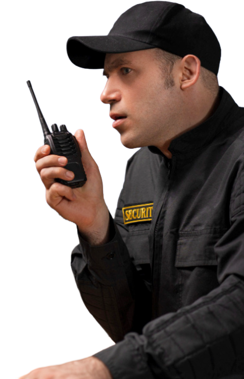 bitácoras seguridad