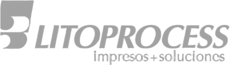 Litoprocess