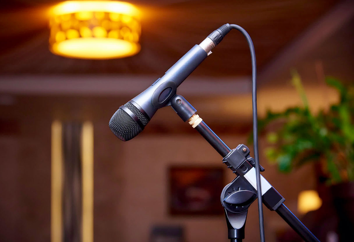 image of audience enjoying entertainment