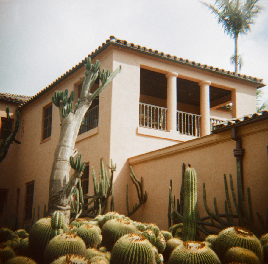 Desert-style building with a tiled roof, balcony with columns, surrounded by various cacti and palm trees.