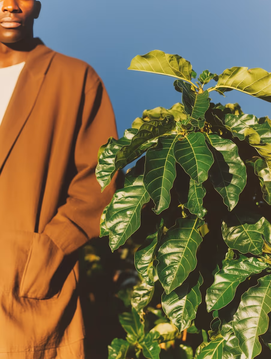 Person and Green Plant