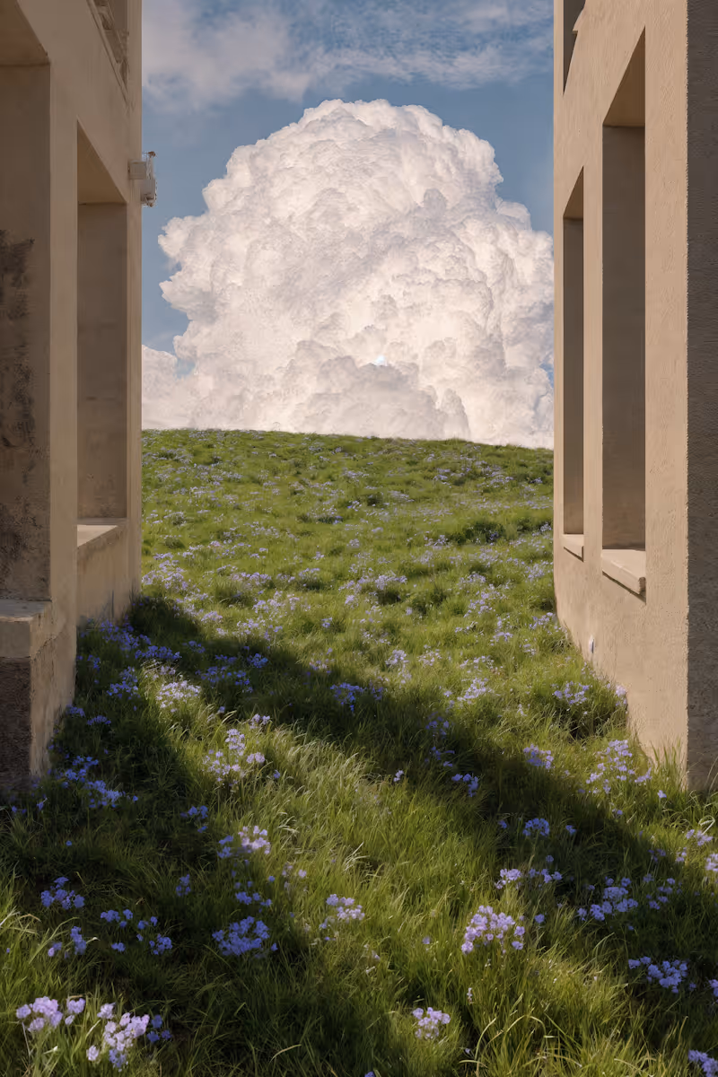 Grassy Field and Cloud