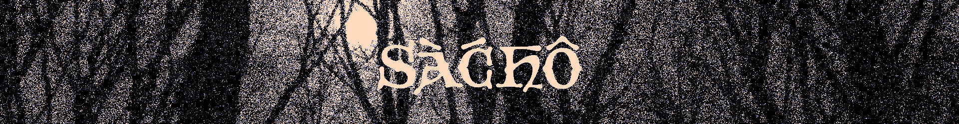 Stylized word SÀCHÔ in a pale beige color over a dark textured background resembling an abstract forest or branches.