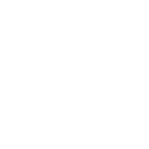 Pizzaiolo logo with a pizza slice replacing the letter A.