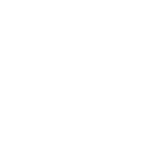 Logo with the text 'What The Festival WTF!' featuring bold stylized letters.