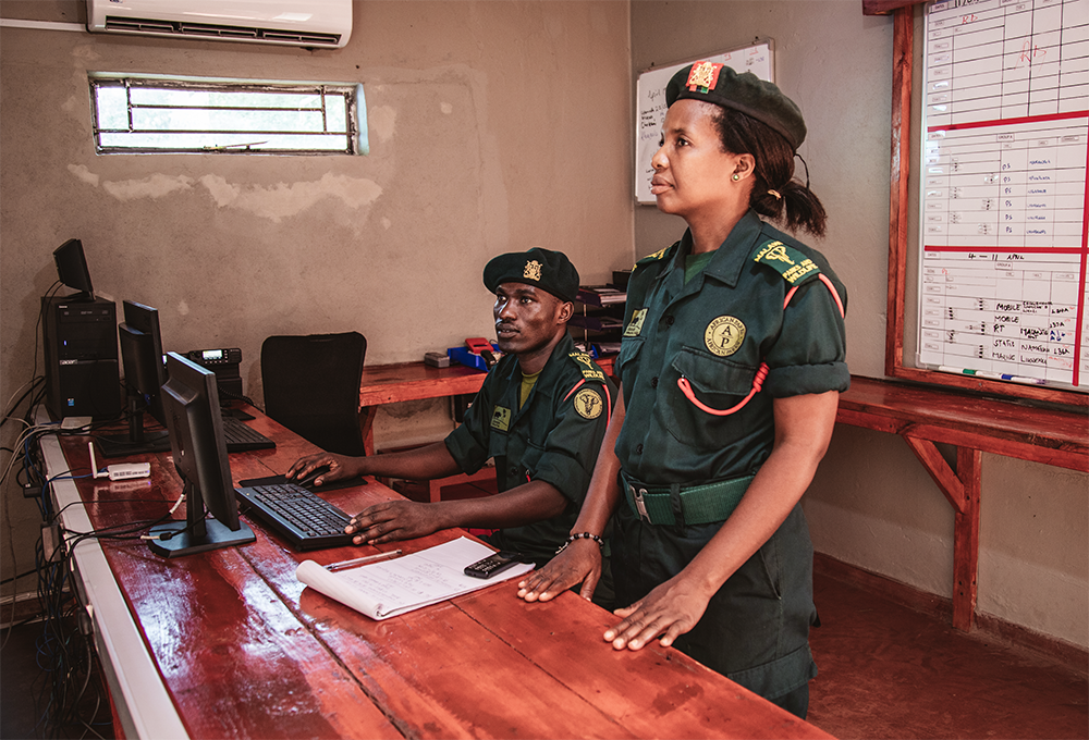 Two people wearing African Parks uniforms are in front of a computer screen. One person is sitting and one is standing. Both are looking calmly and resolutely at something behind the computer screen on the wall out of the picture frame.