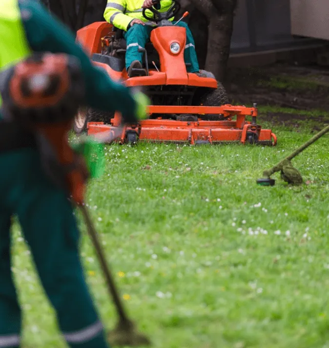 Commercial Landscaping Services in Austin, TX