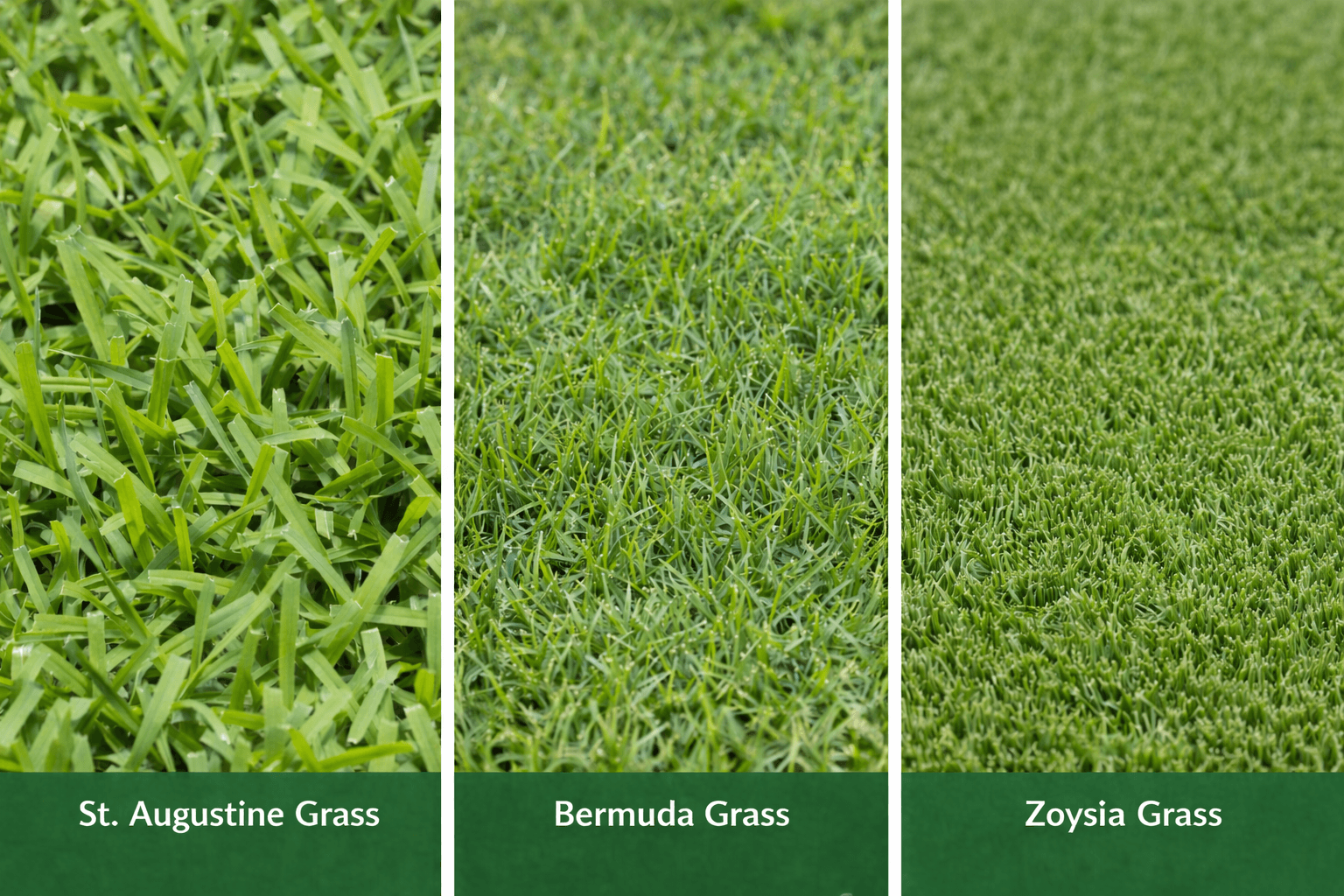 Sod Installation Companies in Austin, Texas. 