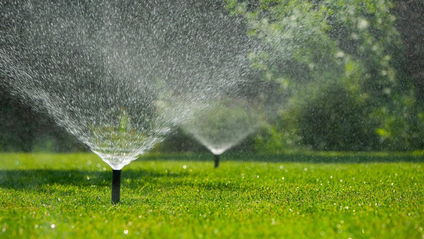 Sprinklers watering a healthy green lawn