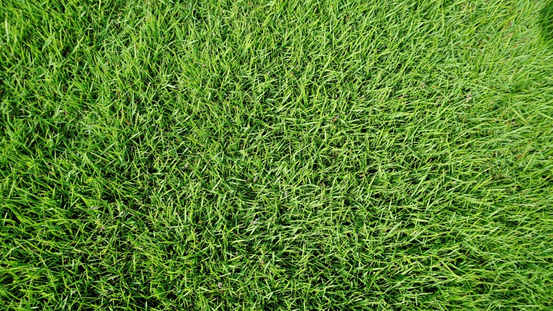 Steel retaining wall