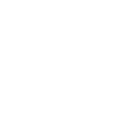 Saiyan Jiu Jitsu