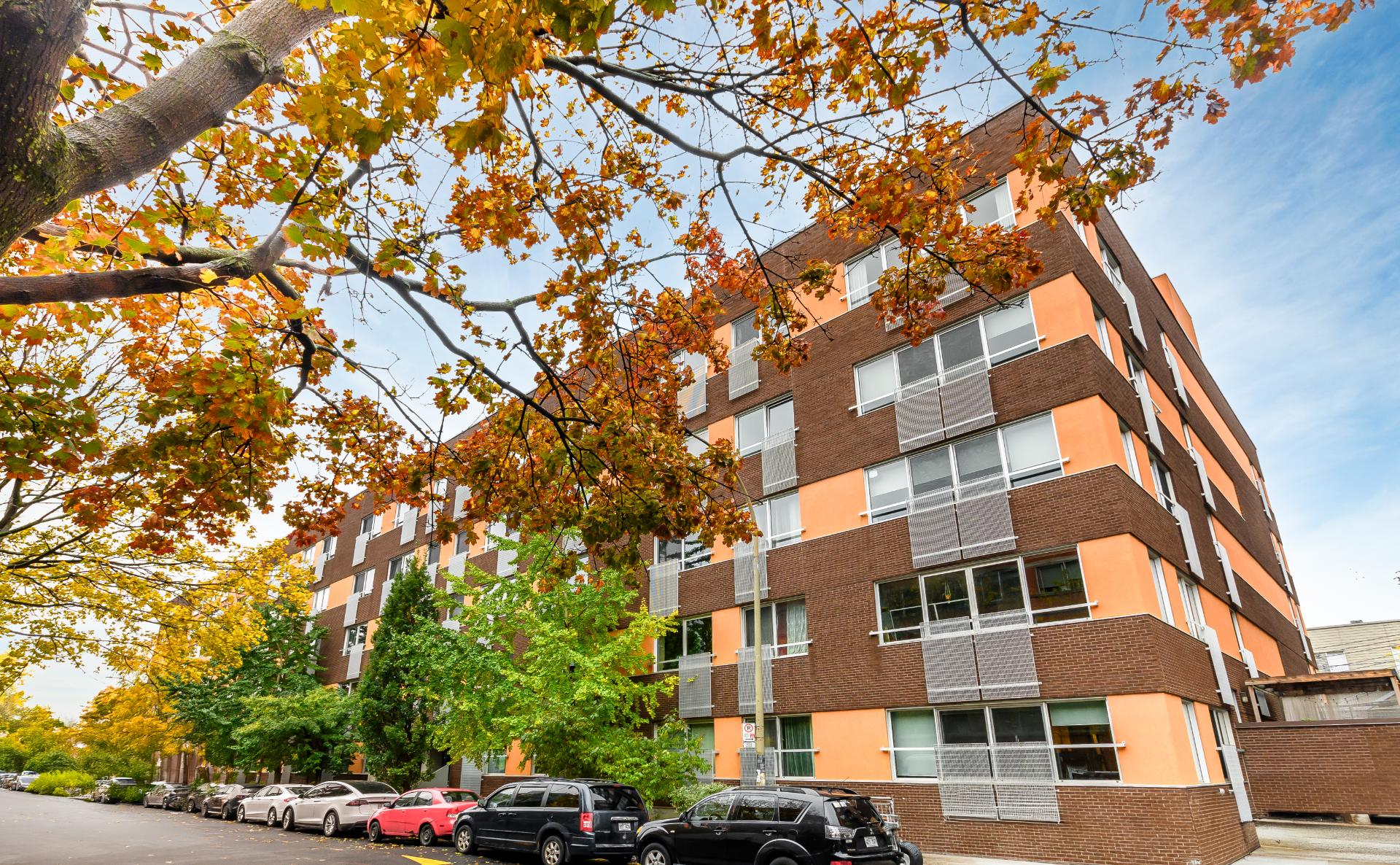 Description de l'image SarahStapleton/27054467/27054467-1.jpg