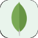 MongoDB Atlas