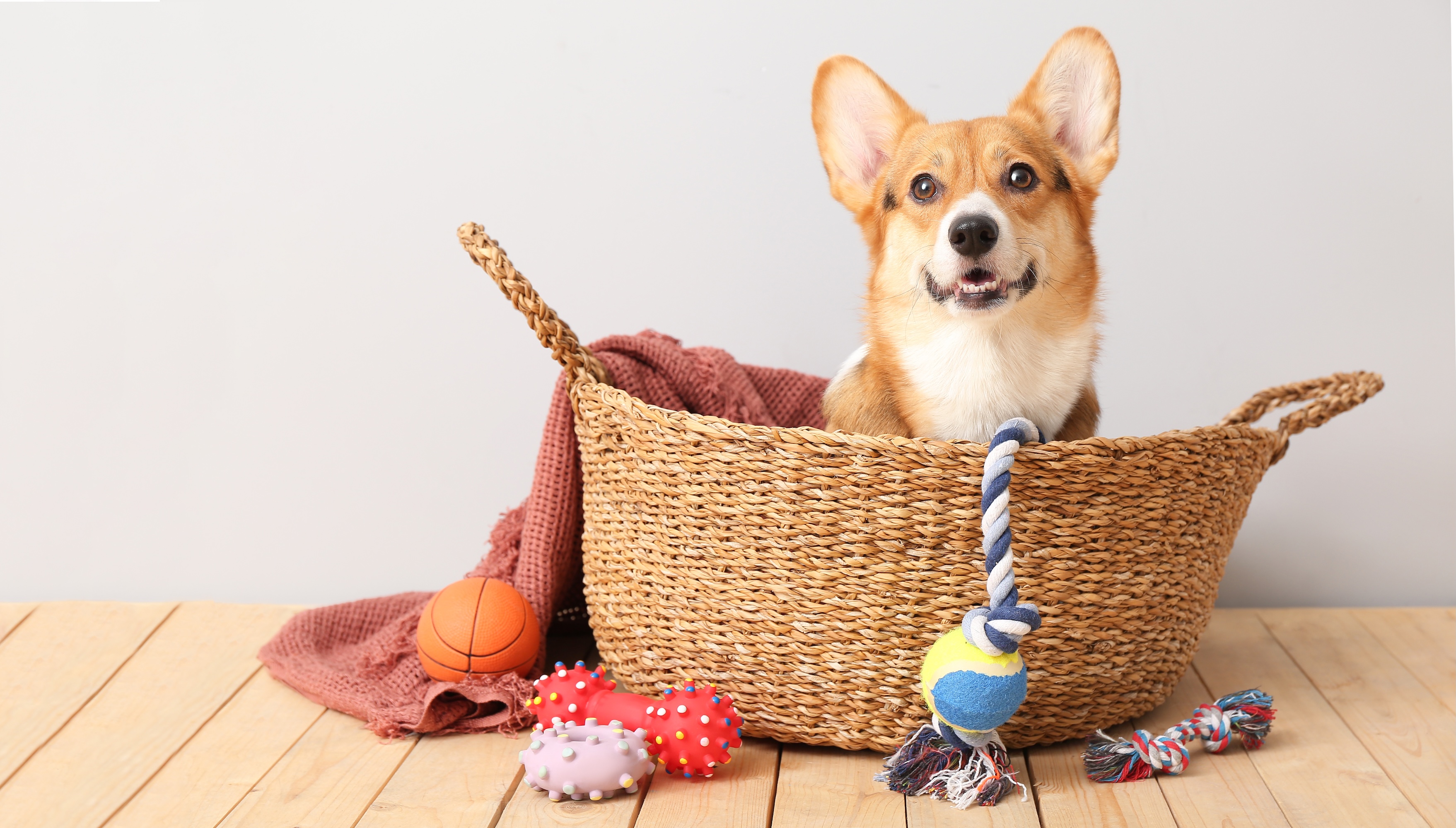 High-quality cotton bedding set with soft gray sheets and pillows, showcasing textile craftsmanship and comfort in luxury bedding manufacturing.