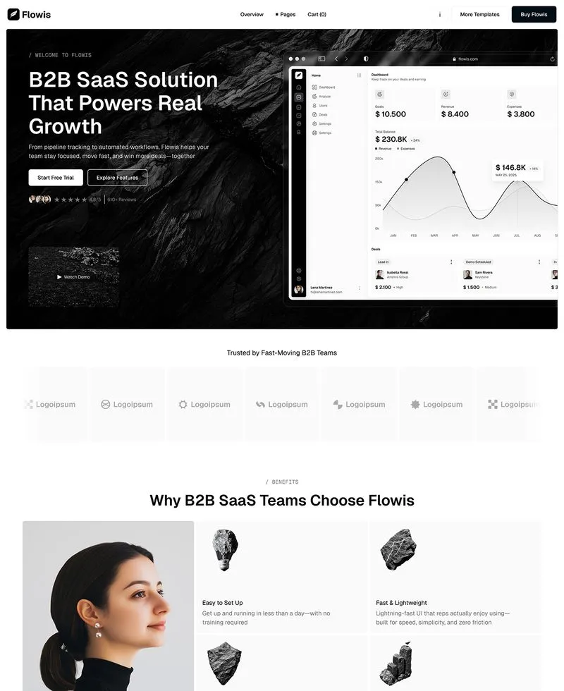 B2B SaaS platforms preview1
