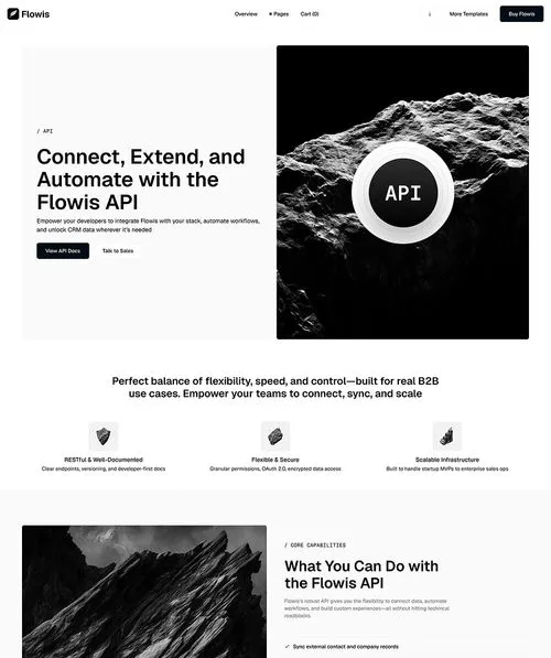 B2B SaaS Webflow Template API
