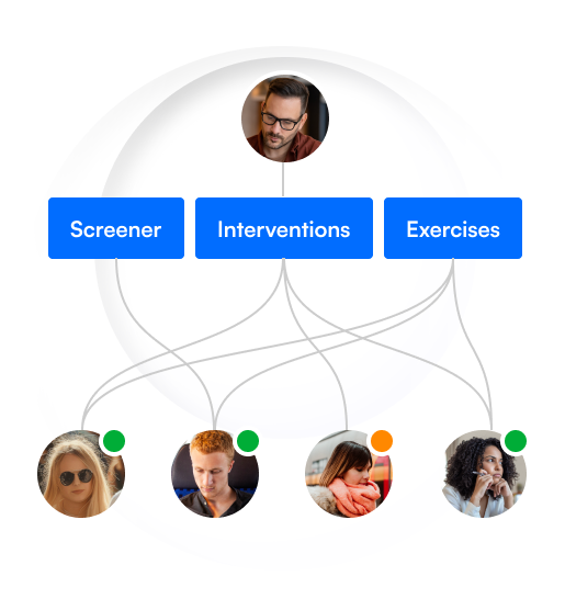 Illustration Showing the Principle of Blended Care.