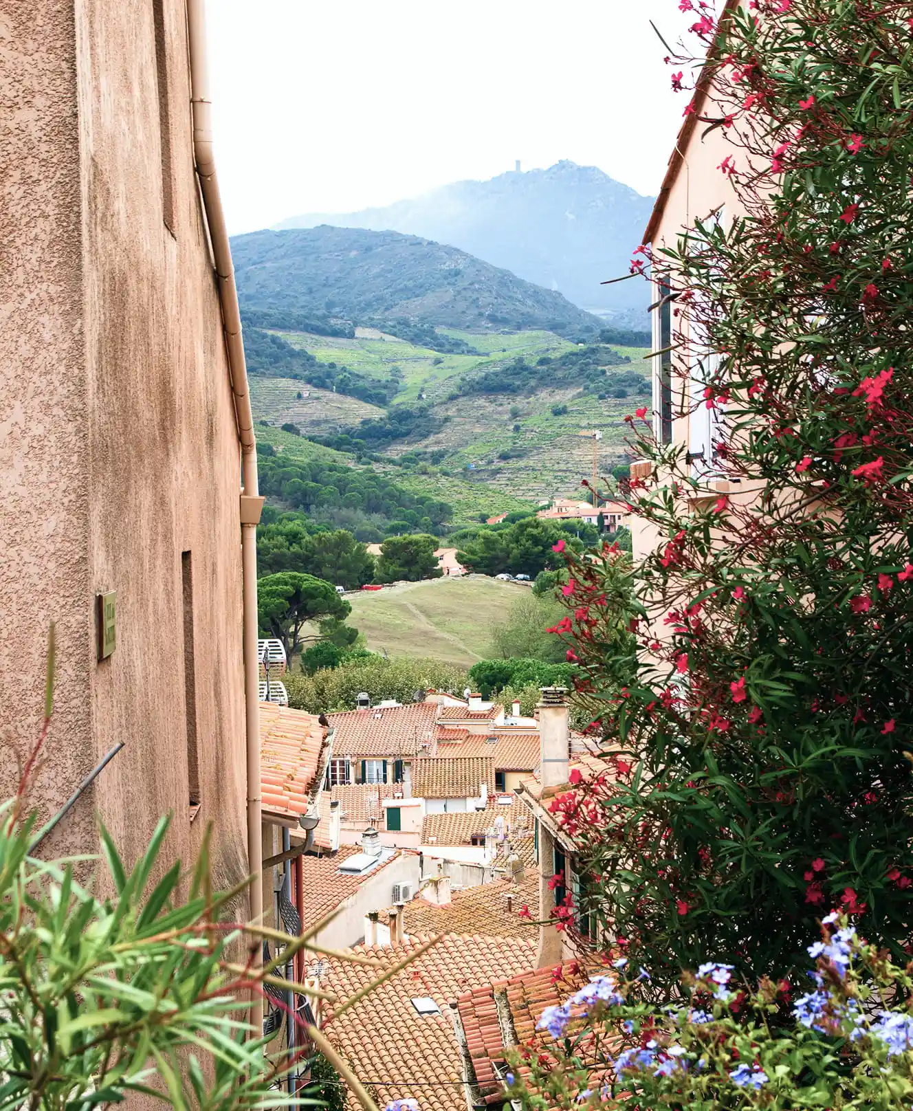 Bucolic alleyway in Collioure