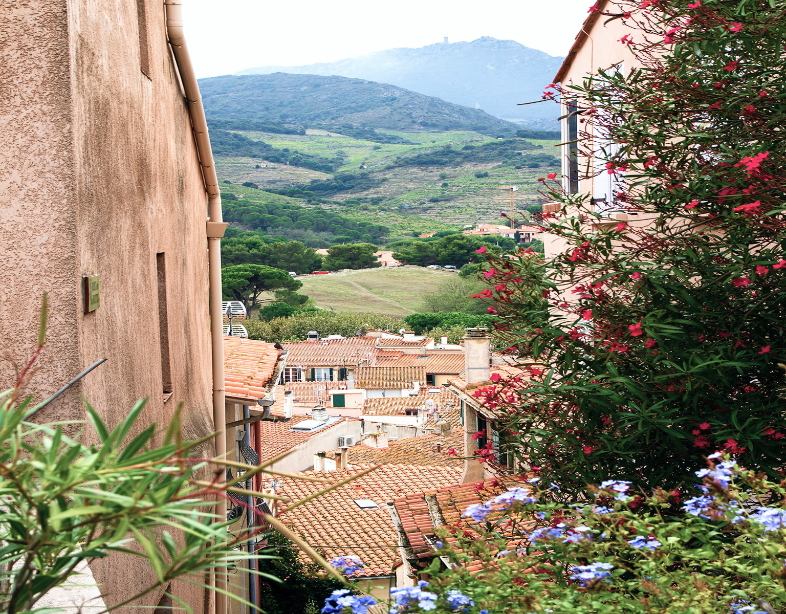 Ruelle du village de Collioure