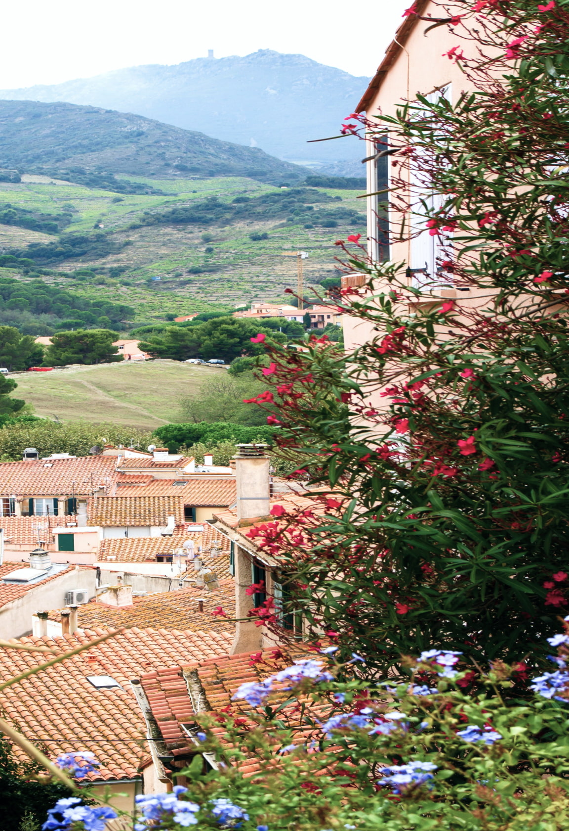 Bucolic alleyway in Collioure