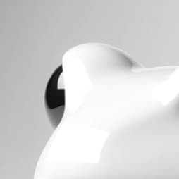Glossy white macro detail