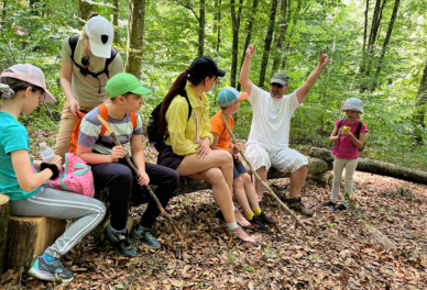 Похід у гори з гідом 388x264px