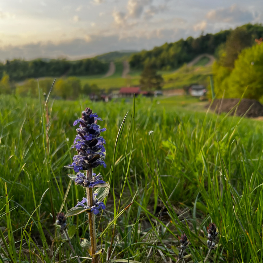 Затишне кафе 852x852px (7)