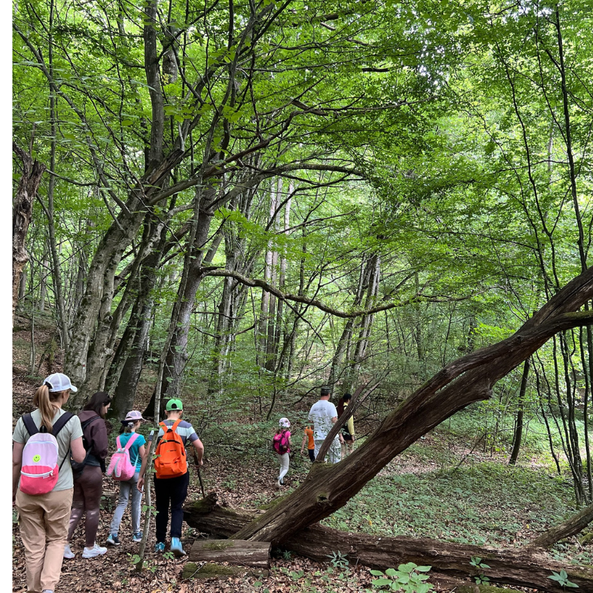 Похід у гори з гідом 852x852px (6)