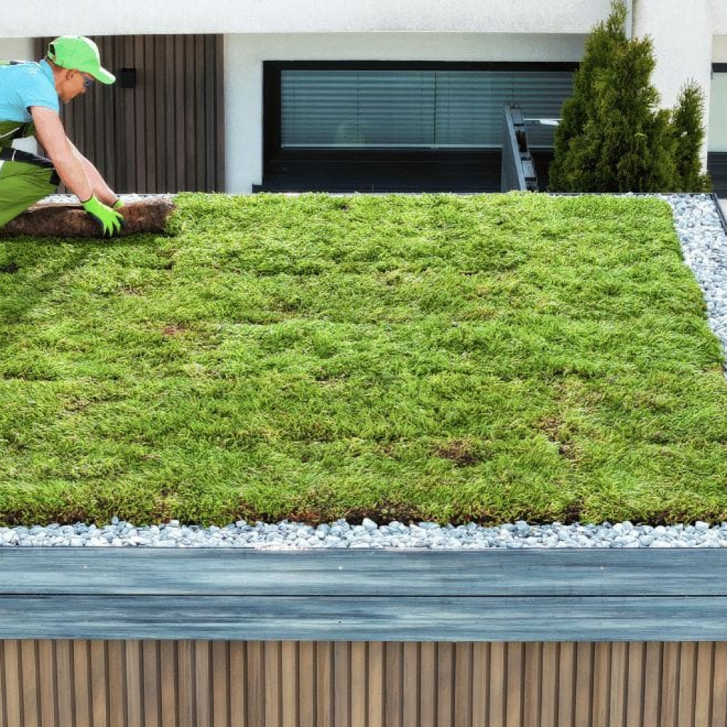 Green Roof Installation