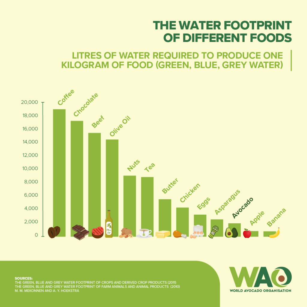 Water Footprint