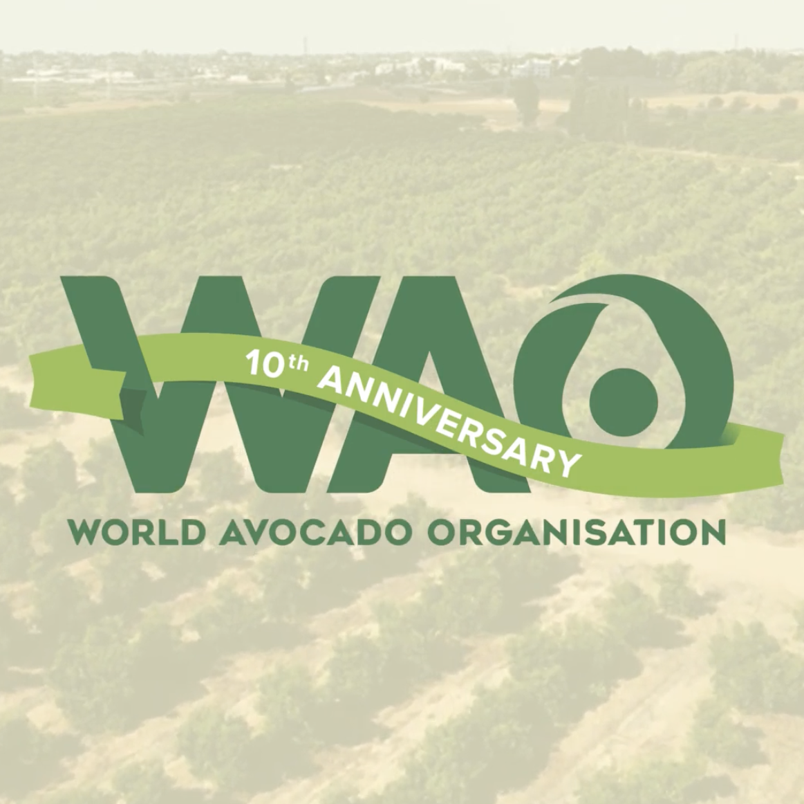 Celebrating 10 Years of WAO!