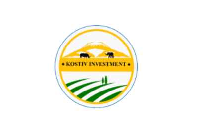 Kostiv Investment